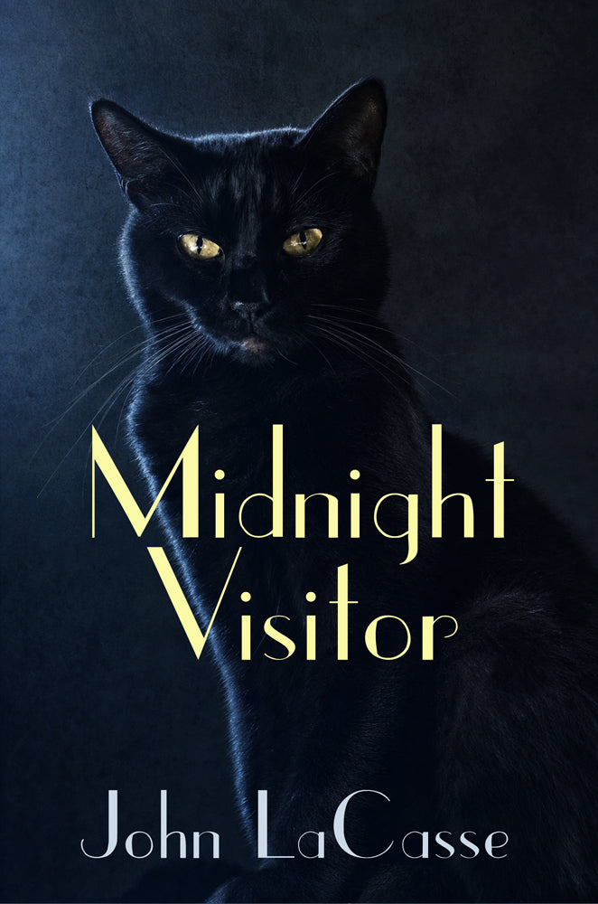 Book cover of Midnight Visitor by John LaCasse
